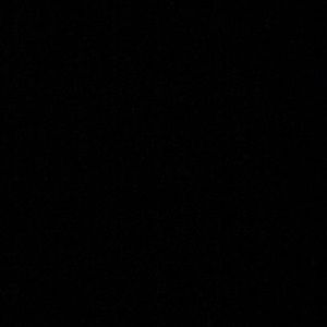 Meet your Posher, Raleigh